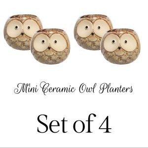 🌸CERAMIC MINI PLANTERS | Set of 4 Ceramic Owl Planters NIB